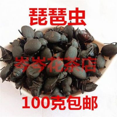喙尾琵琶甲价格(喙尾琵琶甲市场价格)-图2 喙尾琵琶甲价格(喙尾琵琶甲市场价格)-图2