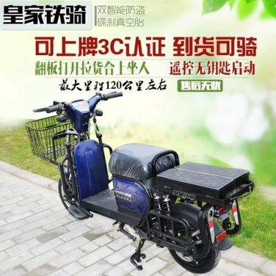 小骆驼电动车款及价格(小骆驼电动汽车)-图3 小骆驼电动车款及价格(小骆驼电动汽车)-图3