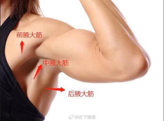 腋自清价格（腋清胳膊能恢复使用吗）