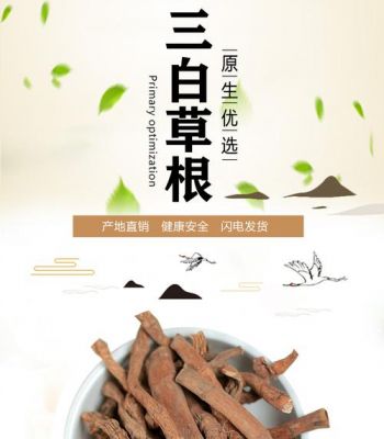白根草价格(白草根别名)-图2 白根草价格(白草根别名)-图2