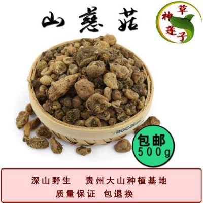 野慈菇价格(野慈姑药用价值)-图2 野慈菇价格(野慈姑药用价值)-图2