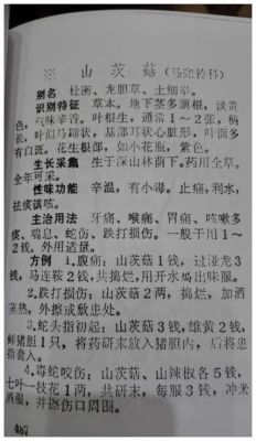 野慈菇价格(野慈姑药用价值)-图3 野慈菇价格(野慈姑药用价值)-图3