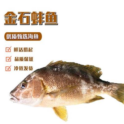 石蚌的价格(石蚌价格多少钱一斤)-图2 石蚌的价格(石蚌价格多少钱一斤)-图2