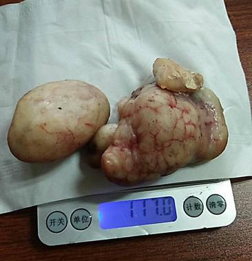 枸宝价格(枸杞子宝盒有什么用)-图3 枸宝价格(枸杞子宝盒有什么用)-图3