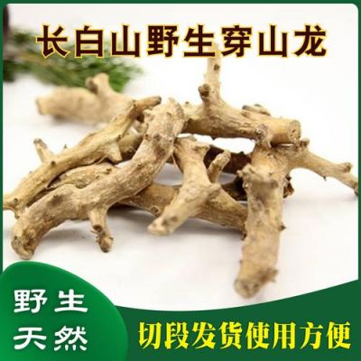 2017年穿地龙的价格（穿地龙行情）