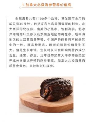 加拿大北冰参价格（加拿大北冰参怎么吃）