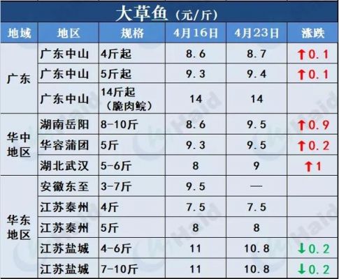 刀子鱼价格（刀子鱼图片及价格）