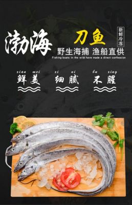 刀子鱼价格(刀子鱼图片及价格)-图3 刀子鱼价格(刀子鱼图片及价格)-图3