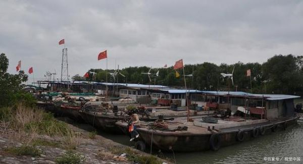 天津北塘出海打渔价格(天津北塘渔村可以出海打鱼吗)-图3 天津北塘出海打渔价格(天津北塘渔村可以出海打鱼吗)-图3