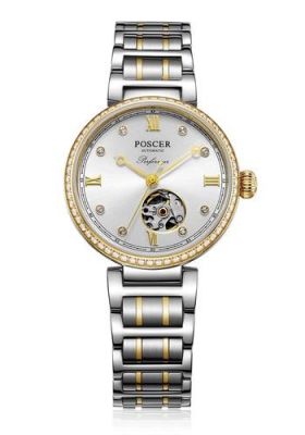 poscersapphire价格(poscer官网)-图2 poscersapphire价格(poscer官网)-图2