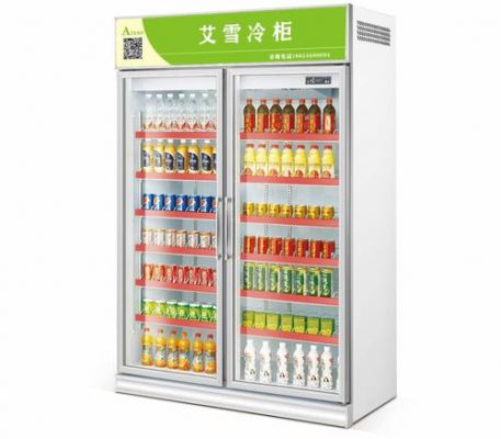 艾雪冷柜价格(艾雪冷柜价格表)-图3 艾雪冷柜价格(艾雪冷柜价格表)-图3