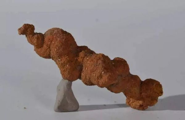 粪化石价格（屎化石图片）