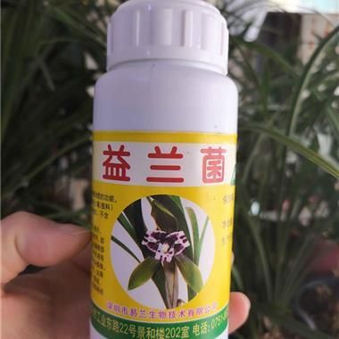 益兰菌价格（益兰菌的使用心得）