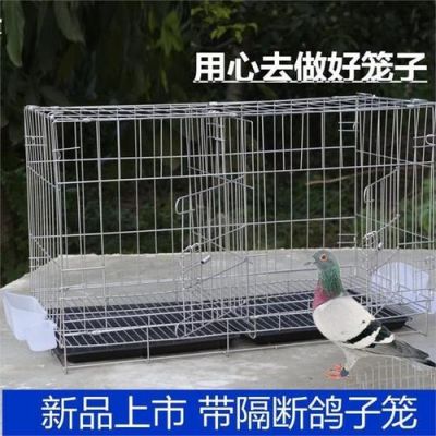竹鸡笼价格的简单介绍-图2 竹鸡笼价格的简单介绍-图2