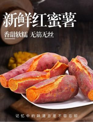 西瓜红红薯价格行情（西瓜红红薯产量怎么样）