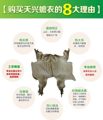 蟾衣胶囊价格(蟾衣粉胶囊)-图2 蟾衣胶囊价格(蟾衣粉胶囊)-图2