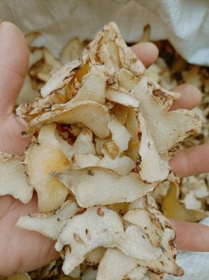 白芨果价格(白芨果荚什么时候采摘)-图2 白芨果价格(白芨果荚什么时候采摘)-图2