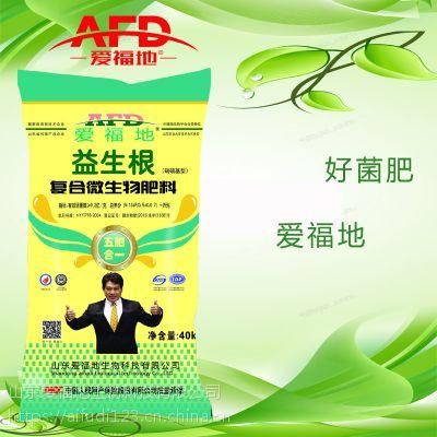 山东爱福地菌肥价格(山东爱福地生物待遇)-图2 山东爱福地菌肥价格(山东爱福地生物待遇)-图2