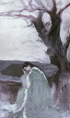 玉松源价格（松玉418）
