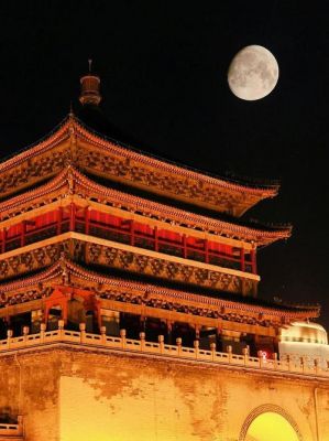 向海大雁价格的简单介绍-图3 向海大雁价格的简单介绍-图3