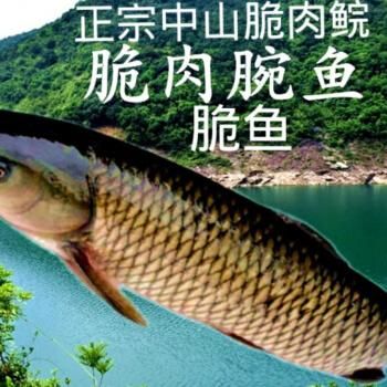 脆肉脘价格(脆肉皖简介)-图3 脆肉脘价格(脆肉皖简介)-图3