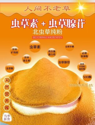 虫草子实体营养粉价格的简单介绍