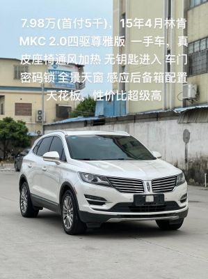 凌肯汽车价格(凌肯牌汽车多少钱一辆)-图3 凌肯汽车价格(凌肯牌汽车多少钱一辆)-图3