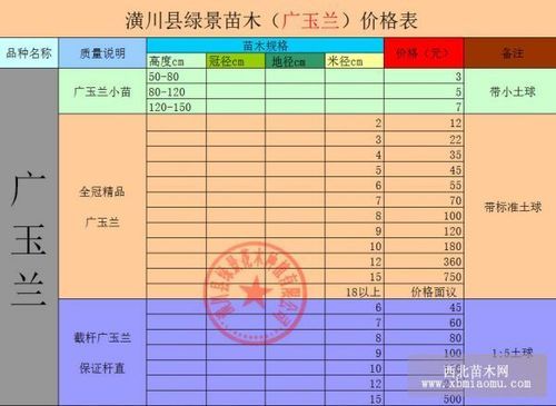 广玉兰最新价格(广玉兰市场价)-图2 广玉兰最新价格(广玉兰市场价)-图2