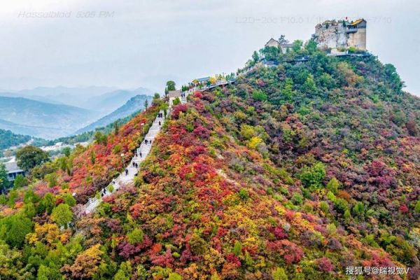 柏尖山门票价格（柏尖山游记）