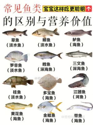 土婆鱼价格（土婆鱼的营养价值及功效）