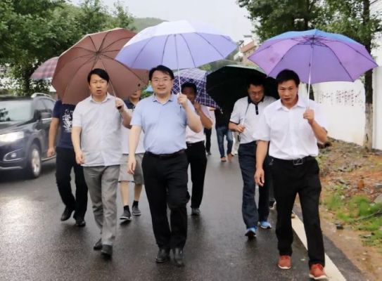 徐树文价格（徐树斌最新消息）